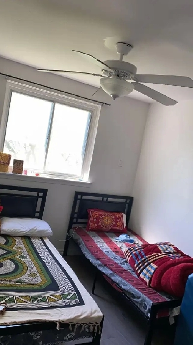 Main Floor Accommodation - Near  Humber College Image# 1