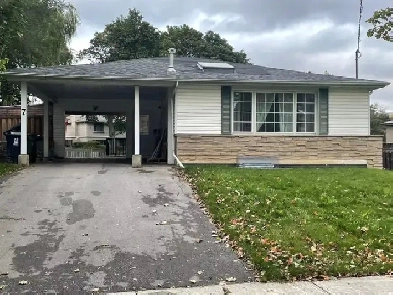 Move-In Ready Basement Suite – Walk to Subway, Near T&T, Parking Image# 7