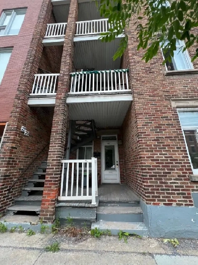 Main Floor 2-3-Bedroom Apartment for Rent – Jean Talon Location Image# 20