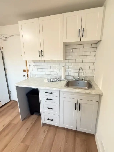 Furnished Sudbury Studio Apartment Image# 5