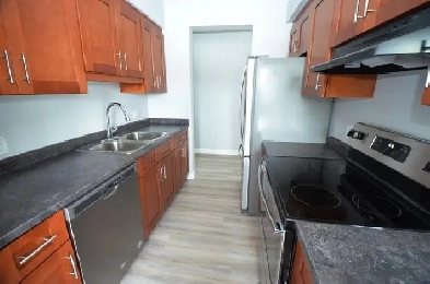 Renovated 1 bedroom with balcony now or Aug 1st - 19 Louisa St Image# 8