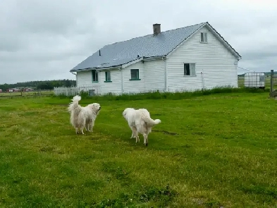 Rural House for Rent Image# 1