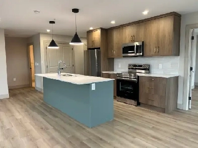 Huge, Brand-New 2 Bed / 2 Bed   Dens! Aug 1 / Sep 1 Starts! Image# 1