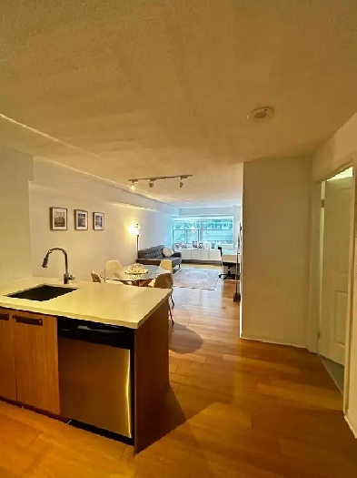 Fully Furnished Apartment for Rent - Walking distance to UofT Image# 24
