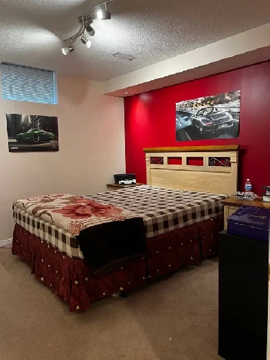 1 Bed 1 Bath   Den Renovated Basement Apartment in Mississauga Image# 1