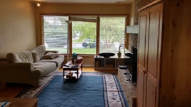 One bed room for rent. Close to the University of Calgary. Image# 2