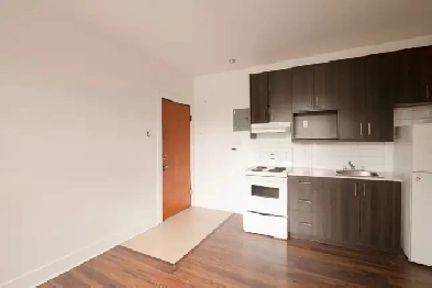 renovated studio for rent, August 1, Snowdon,HEC,UdeM - ID 4062 Image# 2