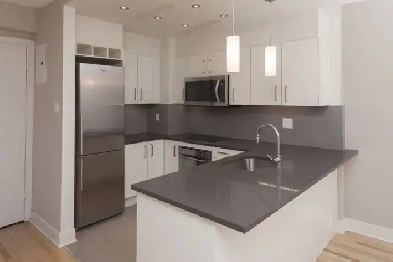 Spacious 1BR unit, in-unit laundry, Downtown Montreal - ID 527 Image# 1