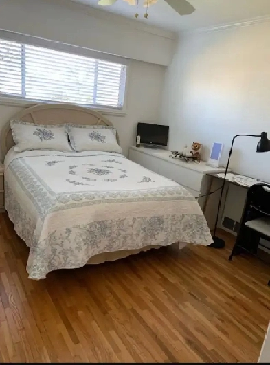 A big private room for rent in Calgary, $575,walk to Rundle LRT Image# 1