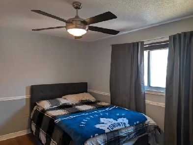 Room to rent in a shared house with own ensuite bathroom Image# 2