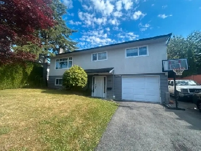 2BR Basement Suite – Utilities   Internet Included Image# 3