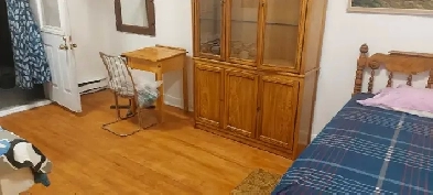 Need 1 girl in a furnished Shared Room, Near Metro station Parc Image# 2