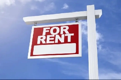Room for rent in sharing (Finch and Islington) Image# 1