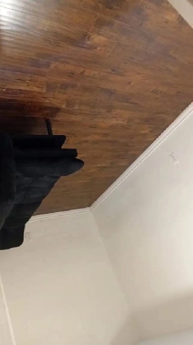 Basement  for Rent Image# 1