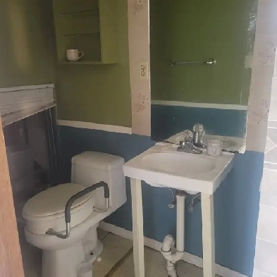 Basement Apt For Rent Image# 1