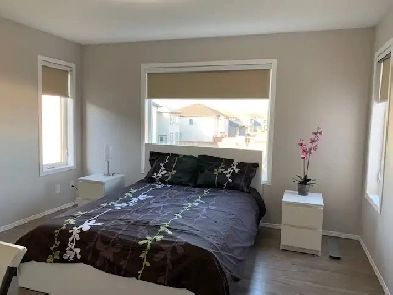 ONE VERY NICE AND NEW MASTER BEDROOM FOR STUDENT RENT Image# 1