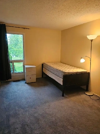 Available August - Upstairs bedroom in quiet townhouse Image# 1