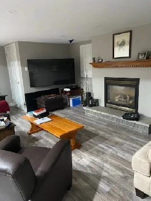 Aurora basement apartment for rent Image# 1