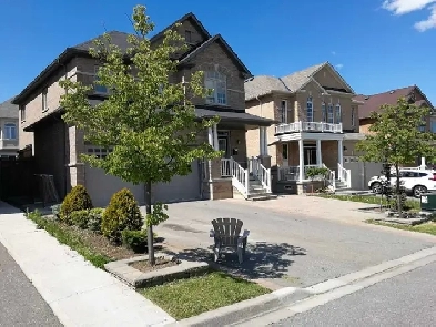 1 Bedroom for Rent in Maple Image# 1