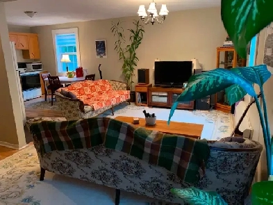 Four Bed Two Bath Apartment - Townsite Image# 8