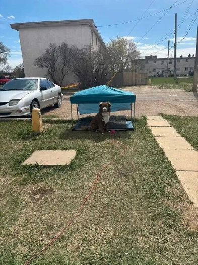 roommate wanted Image# 1