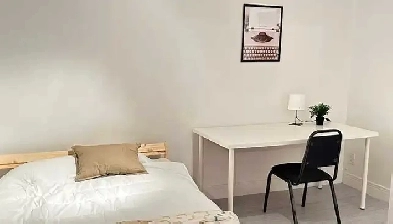 Spacious 3 and a half apartment Image# 1