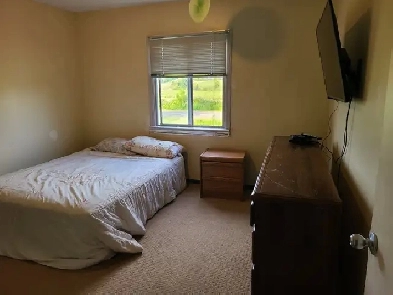 Large room for rent Image# 1