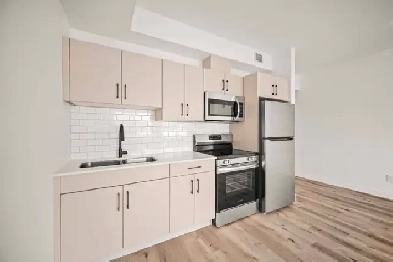 BRAND NEW Bachelor Suite! Image# 3