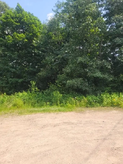 LAND FOR SALE, LOT 10 VIBURNUM VALE, MATTAWA ONTARIO Image# 1