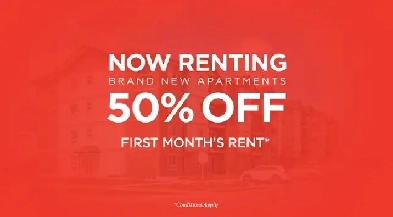 Pet-Friendly Two Bedroom One Bath with In-suite Laundry for Rent Image# 1