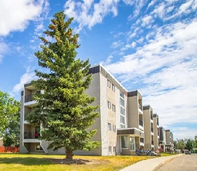 Princeton Place - 1 Bedroom 1 Bath Apartment for Rent Image# 1