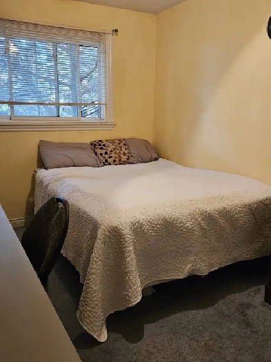 Room for Rent Close To York U, Env.Can, Sanofi Pasteur, UoT Aero Image# 4
