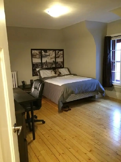 Sandy Hill Furnished -All-inclusive price 5 min walk to Ottawa U Image# 2