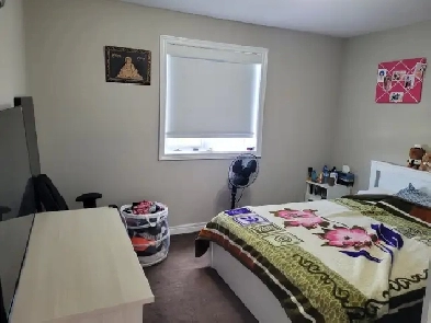 Roome for rent Image# 1