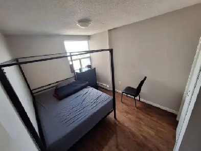 Female Roommate Wanted Image# 11