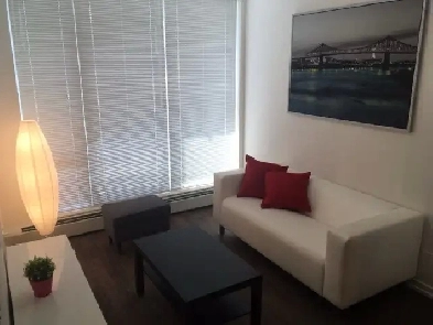 Cozy just renovated one bedroom condo with AC Image# 4