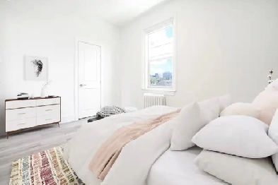 Newly Renovated 1 Bedroom Apartment! Available September 1st! Image# 4