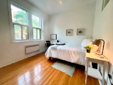 Furnished Room(s) in 3 bedroom Downtown near Concordia, Dawson Image# 8