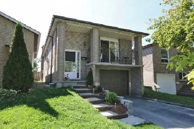 Charming Hamilton Haven – Discover Life at Solomon Crescent! Image# 2