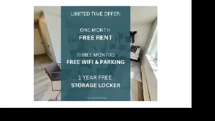 Luxury Fully Renovated 2 Beds 1 Bath Apartment Image# 3