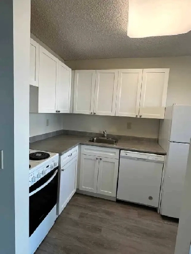 One bedroom apartment Image# 10