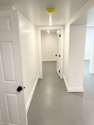 2 Bedroom Basement Apartment - 264 Nevers Rd Image# 4