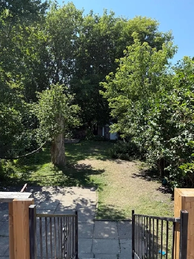 room for rent Image# 1