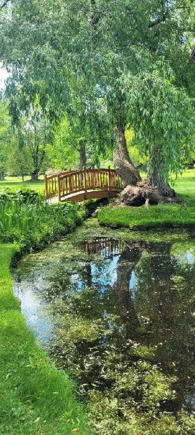 aesthetician and hairdresser looking for space to rent Image# 1