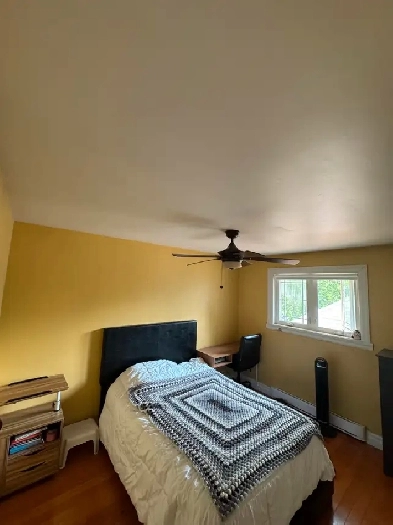 Room for rent, 3-bed, 1-bath apt. Image# 4