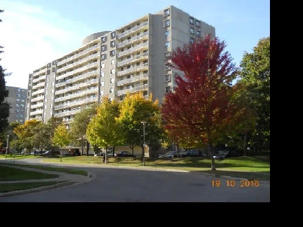 Apartment to Share - Large Room to Rent/Fabulous Roommate! Image# 2