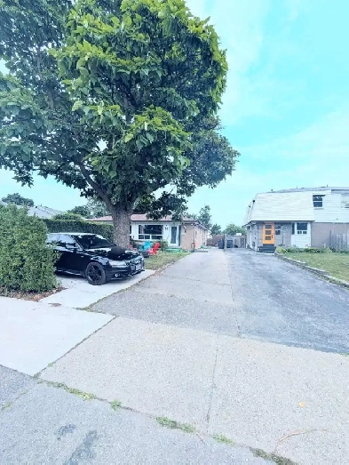 3BR 1.5Bath spacious Bungalow in Brampton Image# 5