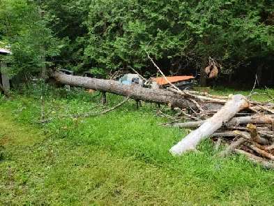 land and cabin Image# 1