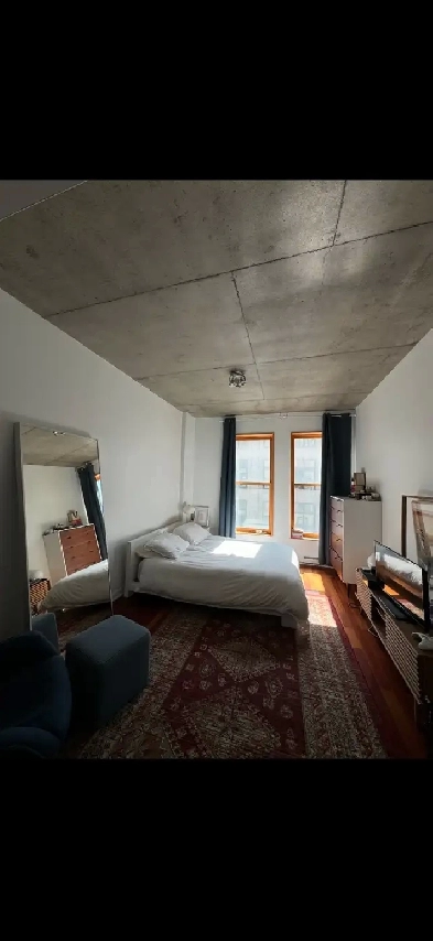 Magnifique appartement à louer dans le Vieux-Port de Montréal Image# 1