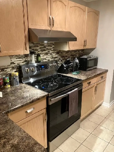 Near OK College/Hospital  Lower mission MUST SEE   1 bed 1 bath Image# 1